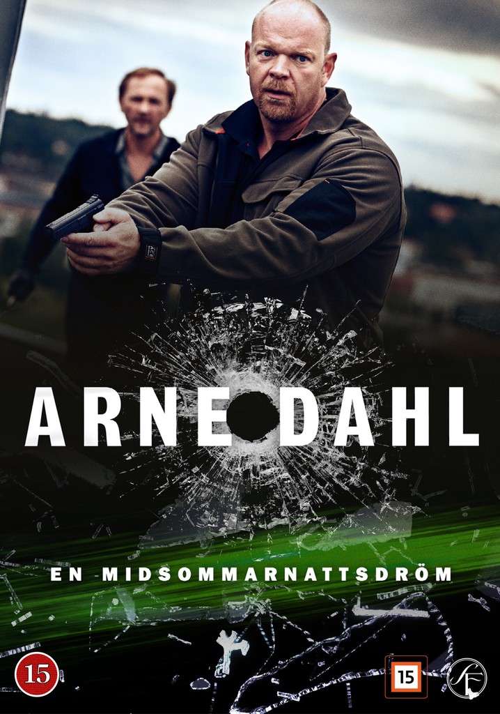 Où regarder la série Arne Dahl